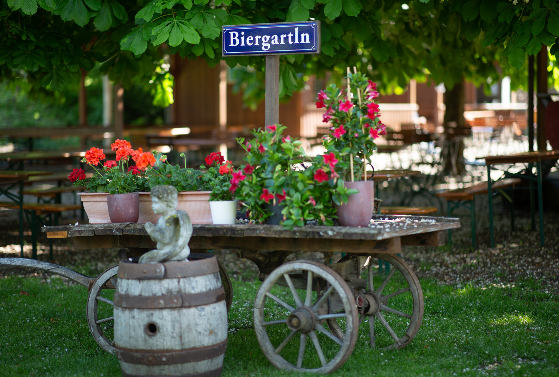 biergarten-hintergrund